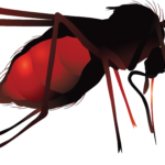 Insecticides